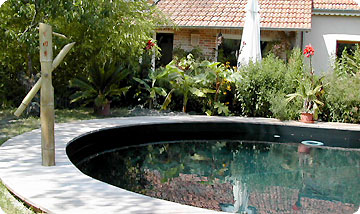 BASSIN NATUREL - ORLEANS 45
