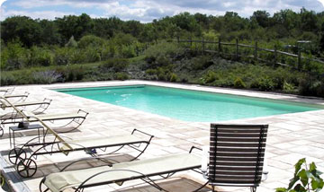 LA BRUYERE DE SOLOGNE - 41 45 18